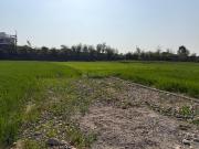 Residential Plot in Sherpur for resale Shimla Bypass...