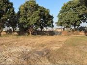 Residential Plot in Sherpur for resale Shimla Bypass...