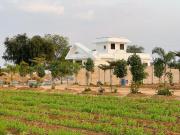 Residential Plot in Shivdaspura for resale NH 8 Jaipur....