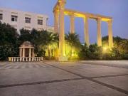 Residential Plot in Sultanpur Road for resale Lucknow....