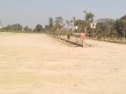 Residential Plot in Sultanpur Road for resale Lucknow....