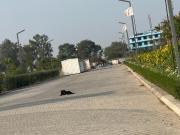 Residential Plot in Tajupur for resale Faridabad. The...