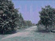 Residential Plot in Talegaon Dabhade for resale Pune....