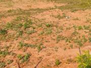 Residential Plot in Tallavalasa for resale...