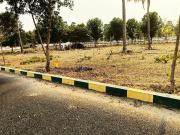 Residential Plot in Tallavalasa for resale...