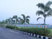 Residential Plot in Tallavalasa for resale...