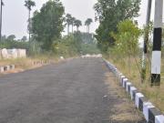 Residential Plot in Tallavalasa for resale...