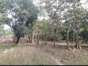Residential Plot in Tallavalasa for resale...