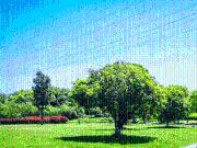 Residential Plot in Thagarapuvalasa for resale...