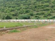 Residential Plot in Thagarapuvalasa for resale...