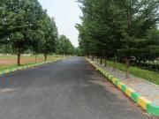 Residential Plot in Thagarapuvalasa for resale...