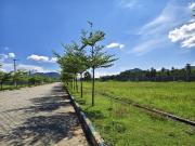 Residential Plot in Thagarapuvalasa for resale...