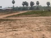 Residential Plot in Thagarapuvalasa for resale...