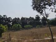 Residential Plot in Thagarapuvalasa for resale...