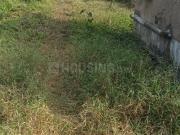 Residential Plot in Thakuranir Chak for resale Kolkata....