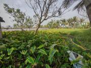 Residential Plot in Thakurpukur for resale South...