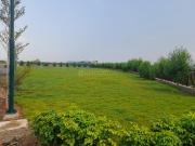 Residential Plot in Thirumazhisai for resale Chennai...