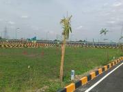 Residential Plot in Thirumohur for resale Madurai. The...