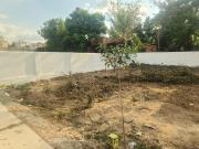 Residential Plot in Thirumullaivoyal for resale Chennai....