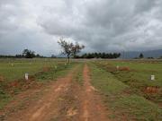 Residential Plot in Thondamuthur for resale Coimbatore....