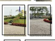 Residential Plot in Tigaria Badshah for resale Indore....