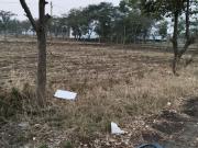 Residential Plot in Tigaria Badshah for resale Indore....