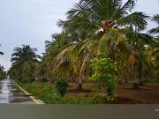 Residential Plot in Tiruchirappalli for resale...