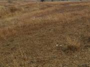 Residential Plot in Tonk khurd for resale Dewas. The...