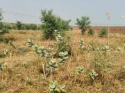 Residential Plot in Tonk Road for resale NH 8 Jaipur....