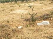 Residential Plot in Tonk Road for resale NH 8 Jaipur....