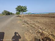 Residential Plot in Ulwe for resale Navi Mumbai. The...