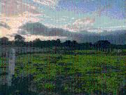 Residential Plot in Uran for resale Mhatwali. The...