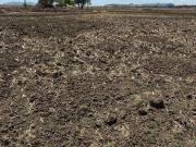 Residential Plot in Uran for resale Navi Mumbai. The...