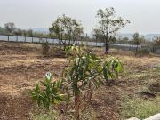 Residential Plot in Uruli Kanchan for resale Pune. The...