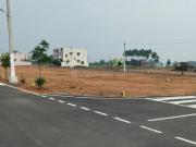 Residential Plot in Vadipatti for resale Madurai. The...