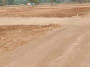 Residential Plot in Vadner Dumala for resale Nashik. The...