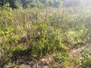 Residential Plot in Vaishali for resale Ghaziabad. The...