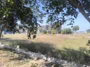 Residential Plot in Vemagal for resale Bangalore. The...