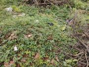 Residential Plot in Vidyaranyapura for resale North...