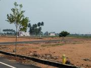 Residential Plot in Vilangudi for resale Madurai. The...