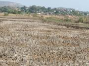 Residential Plot in Vindhane for resale Navi Mumbai. The...