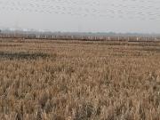 Residential Plot in Vindhane for resale Navi Mumbai. The...