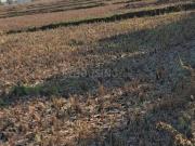 Residential Plot in Vindhane for resale Navi Mumbai. The...