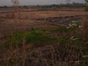 Residential Plot in Vindhane for resale Navi Mumbai. The...