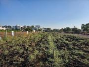 Residential Plot in Wagholi for resale Pune. The...
