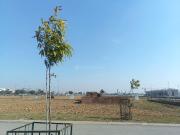 Residential Plot in Wave City for resale Ghaziabad. The...