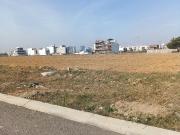 Residential Plot in Wave City for resale Ghaziabad. The...