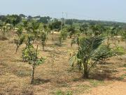 Residential Plot in Yadagirigutta for resale Hyderabad....