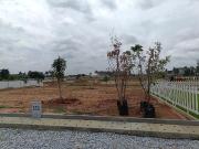 Residential Plot in Bendiganahalli for resale Bangalore....