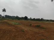 Residential Plot in Yelachanayakanapura for resale...